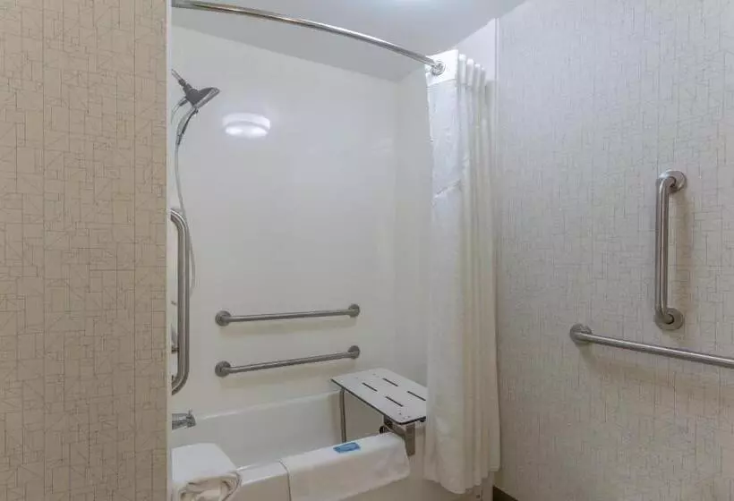 اتاق استاندارد برای معلولان, Holiday Inn Express & Suites Milwaukee Nw   Park Place, An Ihg
