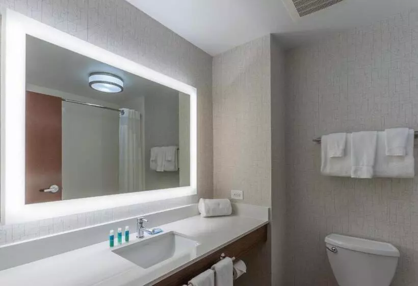 اتاق استاندارد برای معلولان, Holiday Inn Express & Suites Milwaukee Nw   Park Place, An Ihg