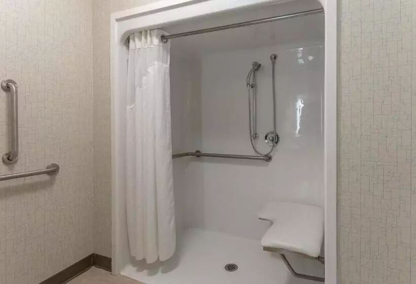 اتاق استاندارد با تخت بزرگ برای معلولان, Holiday Inn Express & Suites Milwaukee Nw   Park Place, An Ihg