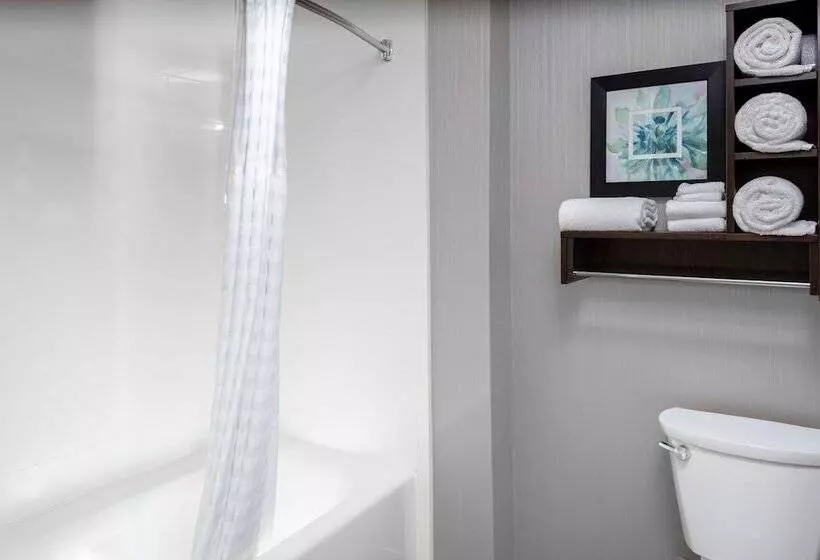سوییت, Homewood Suites By Hilton Phoenix Airport South