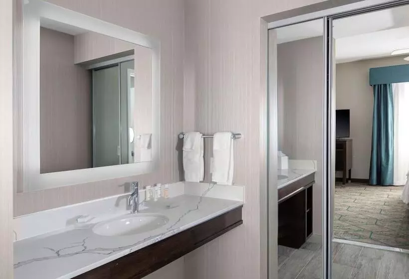 سوییت, Homewood Suites By Hilton Phoenix Airport South