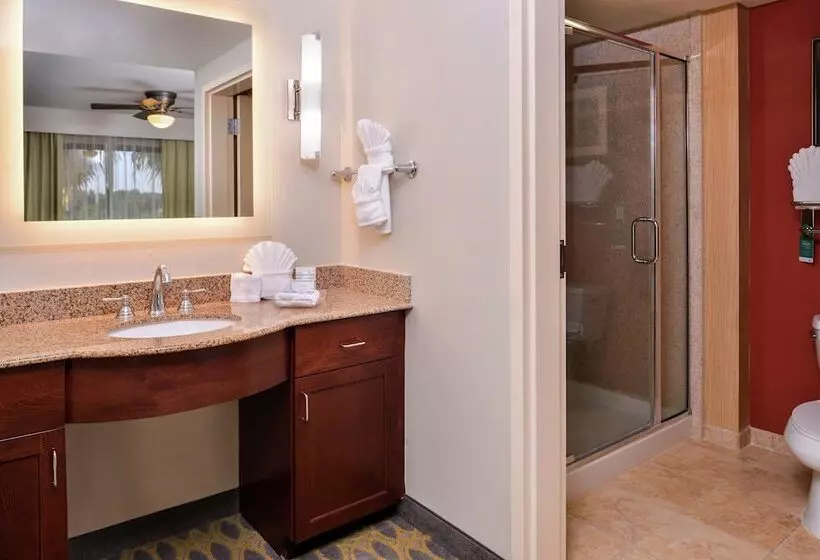 سوئیت 2 خوابه, Homewood Suites By Hilton Jacksonville Downtown Southbank