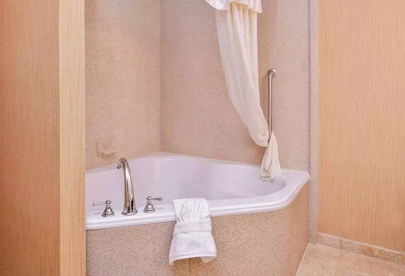 سوئیت برای معلولان, Homewood Suites By Hilton Jacksonville Downtown Southbank