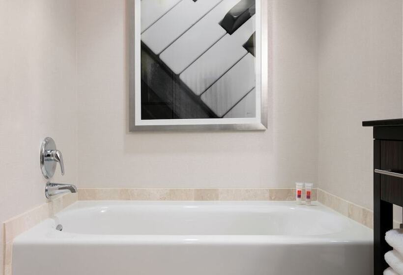 غرفة ديلوكس, Loews Atlanta