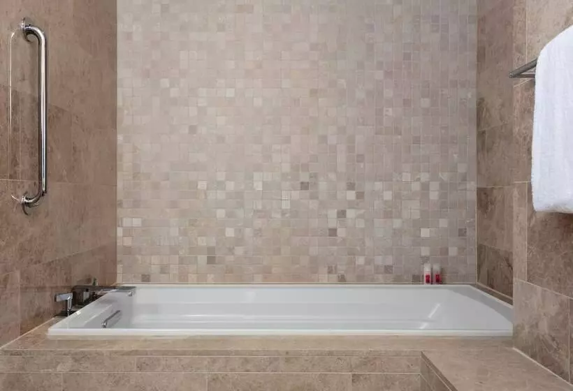 身障者適用スーペリアールーム, Loews Atlanta
