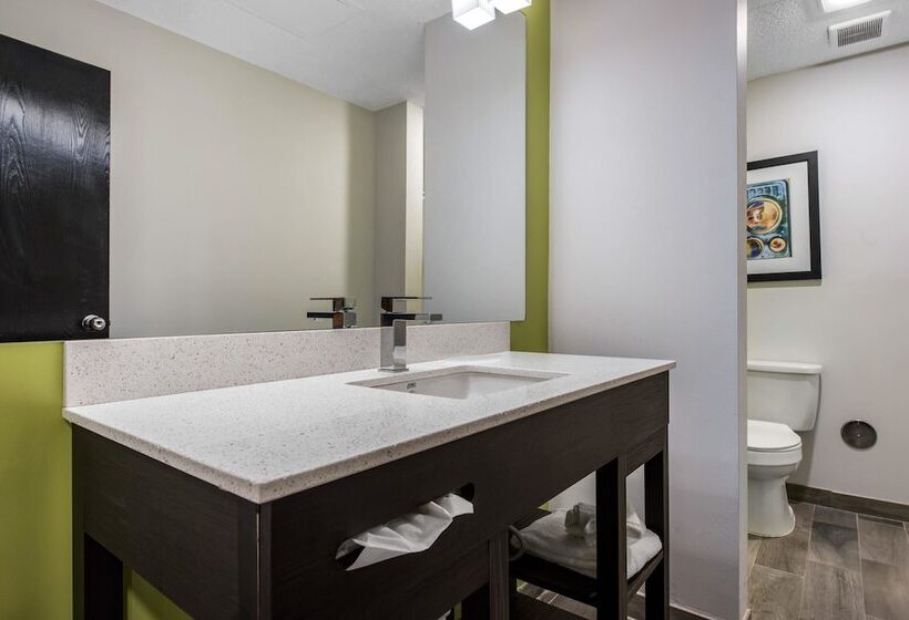 غرفه قياسيه سريرين مزدوجين, Quality Inn