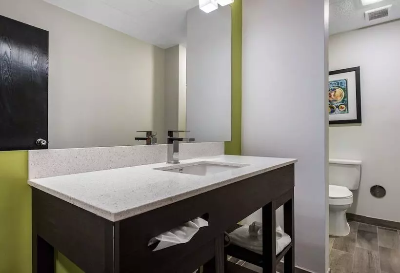 اتاق استاندارد با 2 تخت دوبل, Quality Inn