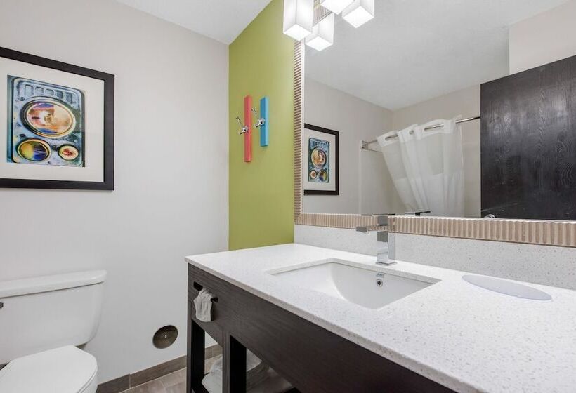 غرفه قياسيه سريرين مزدوجين, Quality Inn