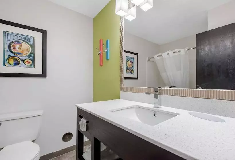 اتاق استاندارد با 2 تخت دوبل, Quality Inn