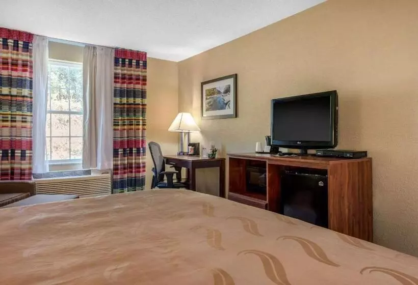 اتاق استاندارد با تخت بزرگ, Quality Inn