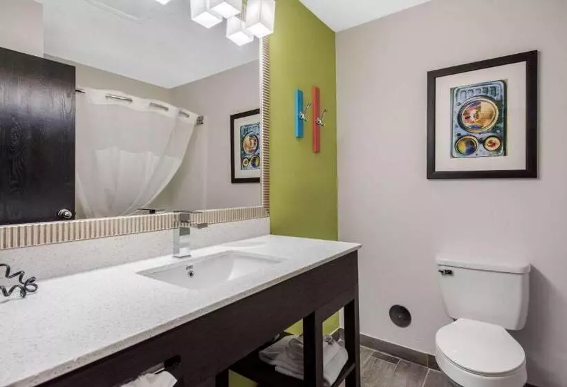 اتاق استاندارد با تخت بزرگ, Quality Inn