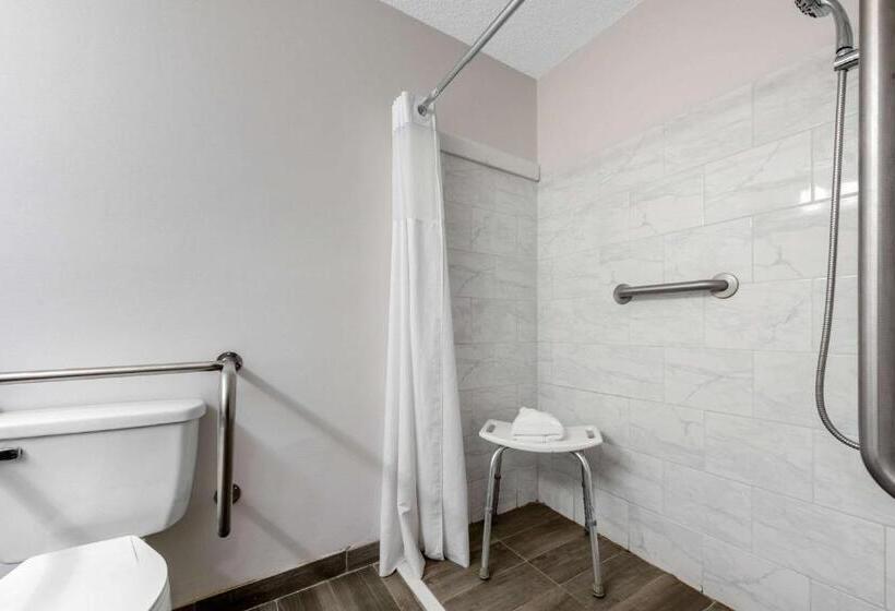 غرفة قياسية سرير كينج لذوى الإحتياجات الخاصة, Quality Inn