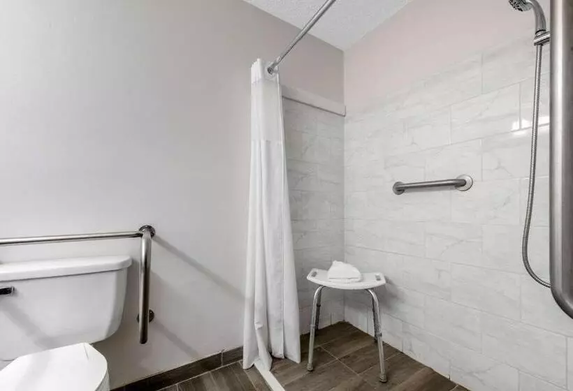 اتاق استاندارد با تخت بزرگ برای معلولان, Quality Inn