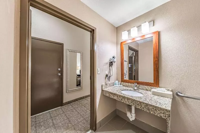 キングサイズベッドのスタンダードルーム, Quality Inn West Plano  Dallas