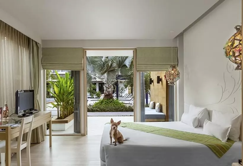 اتاق استاندارد, The Lapa Hua Hin