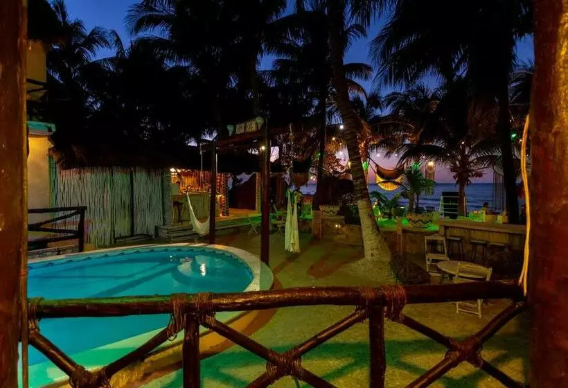 اتاق استاندارد با تخت بزرگ, Holbox Dream Beachfront