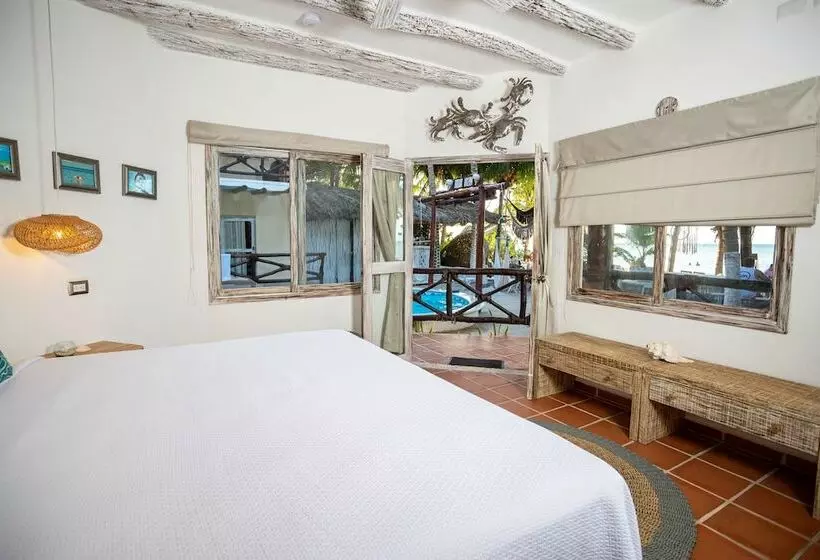 اتاق استاندارد با چشم‌انداز, Holbox Dream Beachfront
