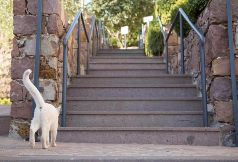 اتاق استاندارد با چشمانداز دریا, Sunrise Resort