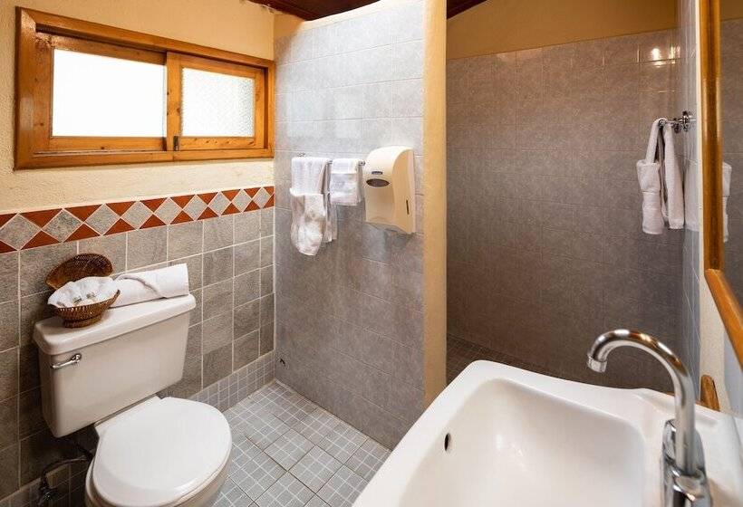 חדר סטנדרט לשלושה, Regis Hotel Spa