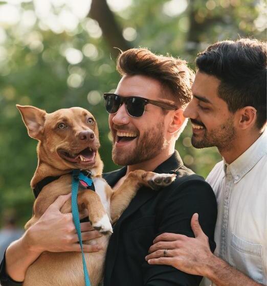 سوییت سوپریور با چشم‌انداز دریا, Apartments Softic