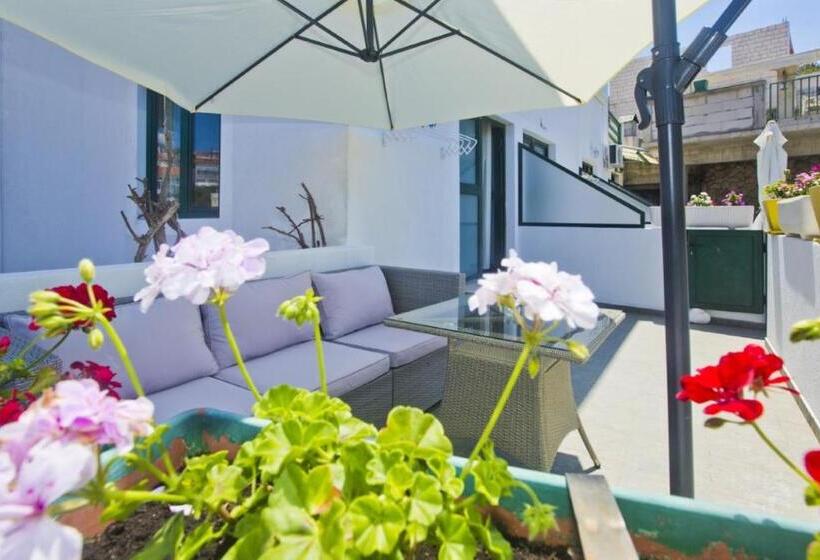 استودیو استاندارد با چشم‌انداز باغ, Apartments Softic