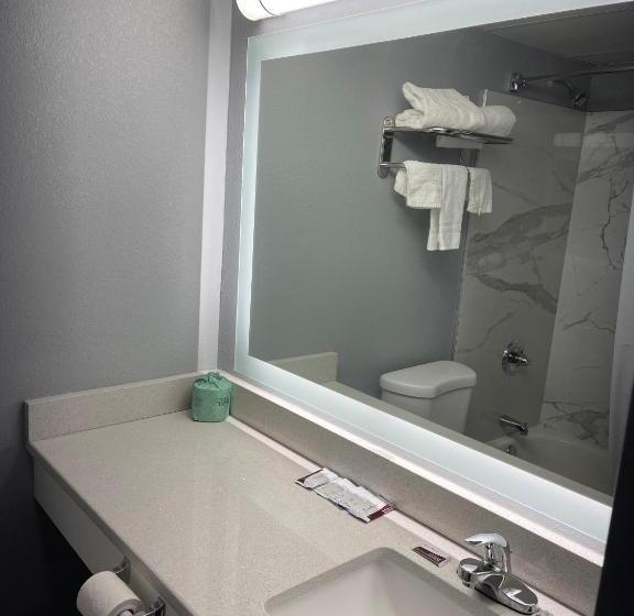 豪华工作室, The Wayne Inn