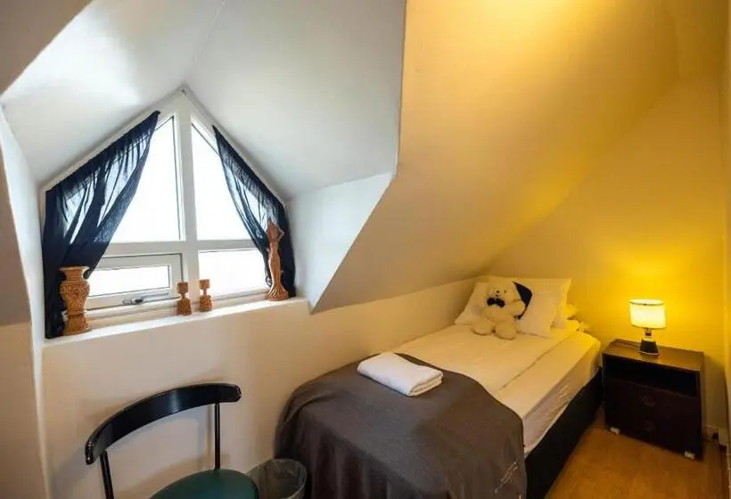 اتاق اکونومی یک تخته, Heidi Guesthouse