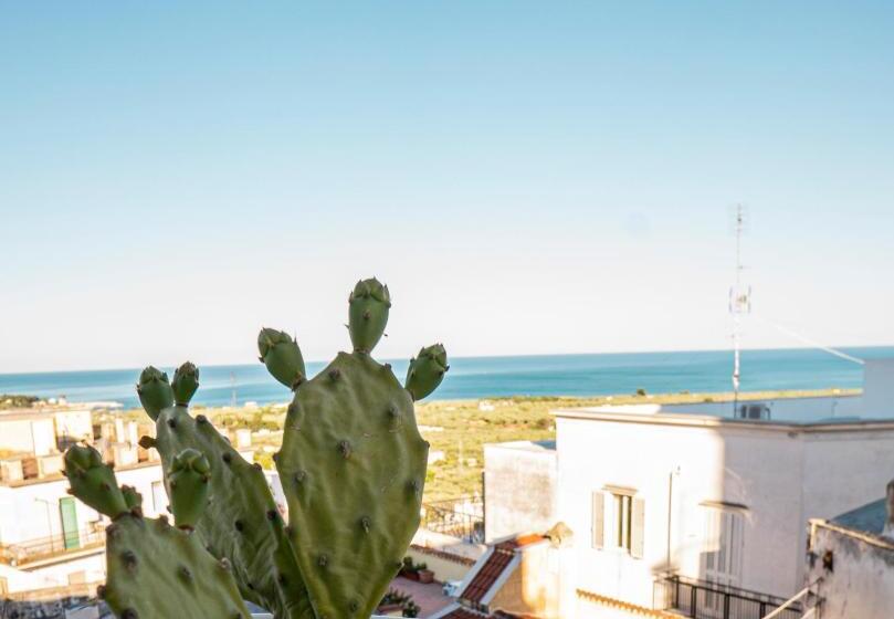 غرفة كلاسيكية رباعية, Casa Junno