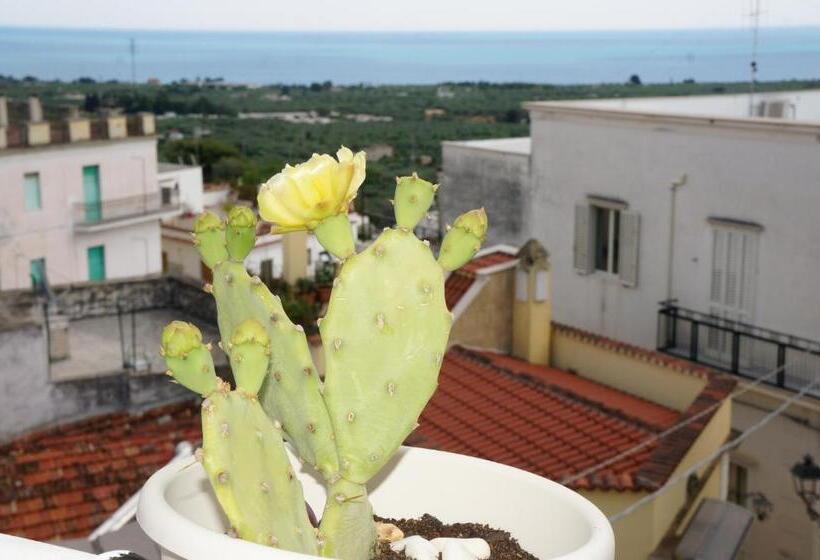 غرفة قياسية, Casa Junno