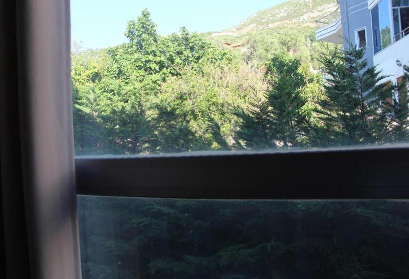 חדר סטנדרט לשלושה, Aurora