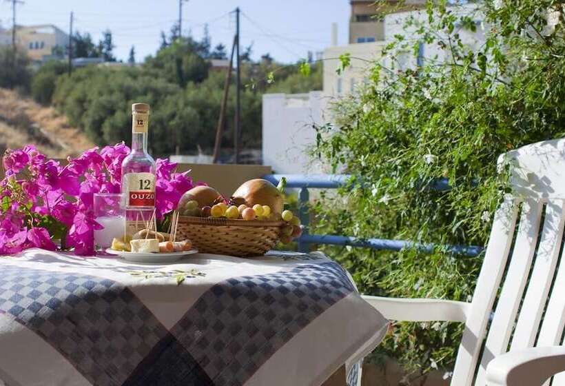 １ベッドルームアパートメント, Andy S Plaza