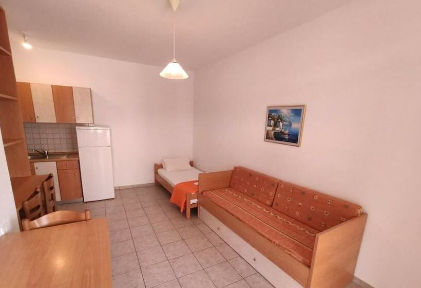 １ベッドルームアパートメント, Andy S Plaza