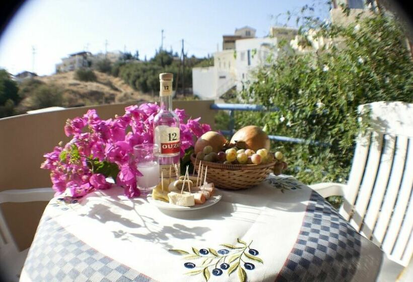 １ベッドルームアパートメント, Andy S Plaza