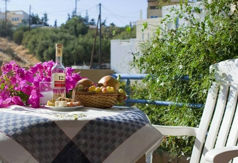 １ベッドルームアパートメント, Andy S Plaza