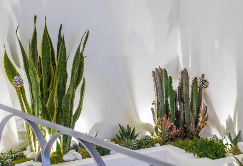 اتاق لوکس چهار تخته, Governo Vecchio Guesthouse Navona