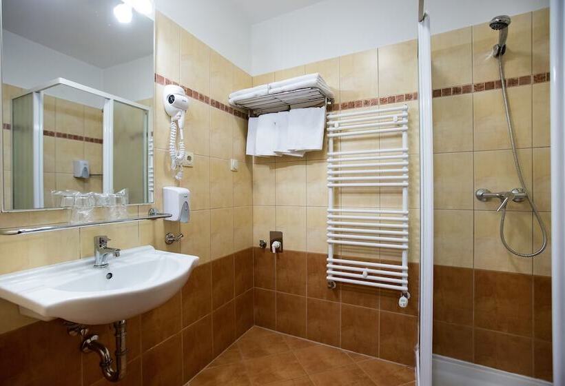 1 Schlafzimmer Apartment, City Home Budapest