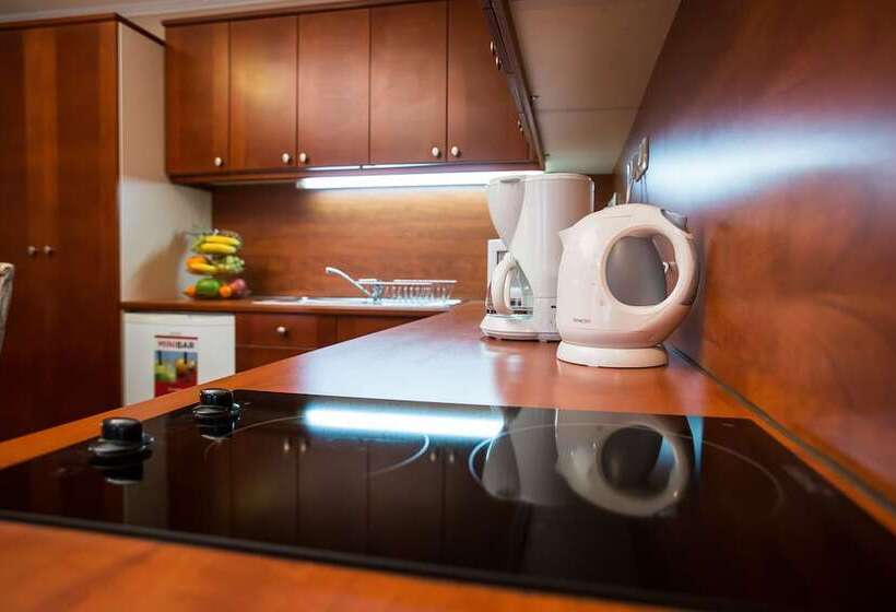 1 Schlafzimmer Apartment, City Home Budapest