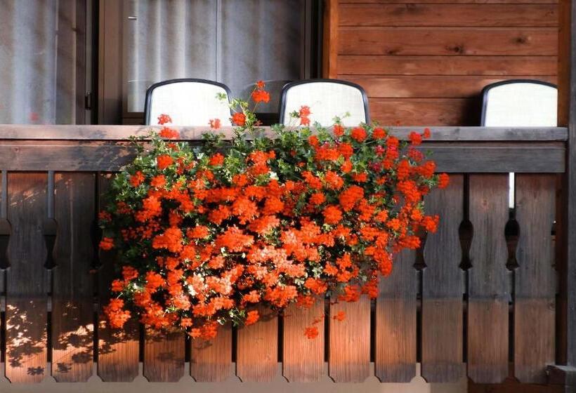 标准间, Adler Carezza