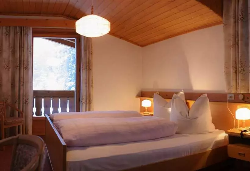 Standard-huone, Adler Carezza