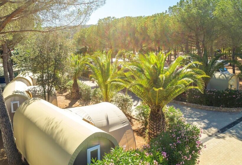 Superior Tent, Gitavillage Talamone