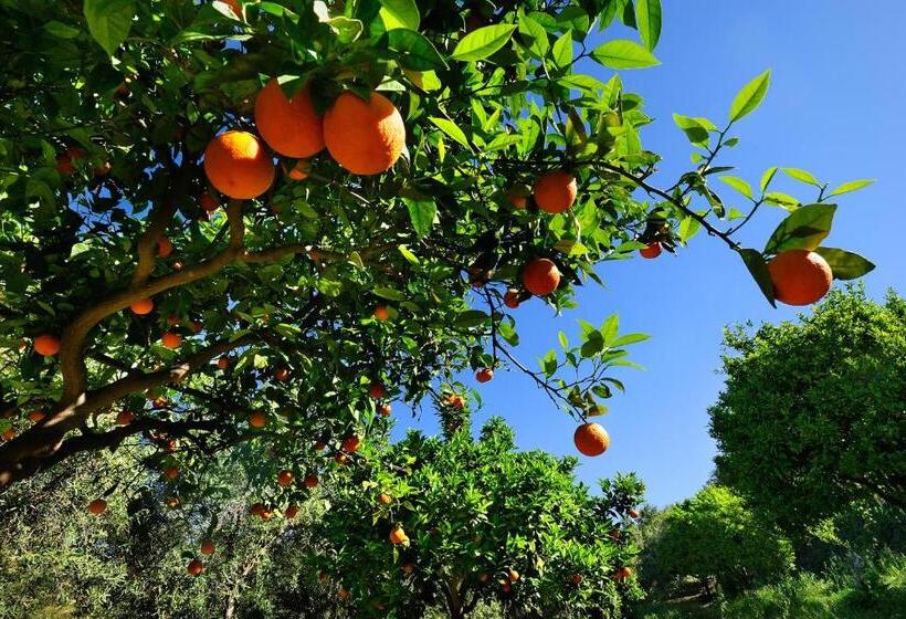 דירת שני חדרים, Kallikoros Country Resort & Spa