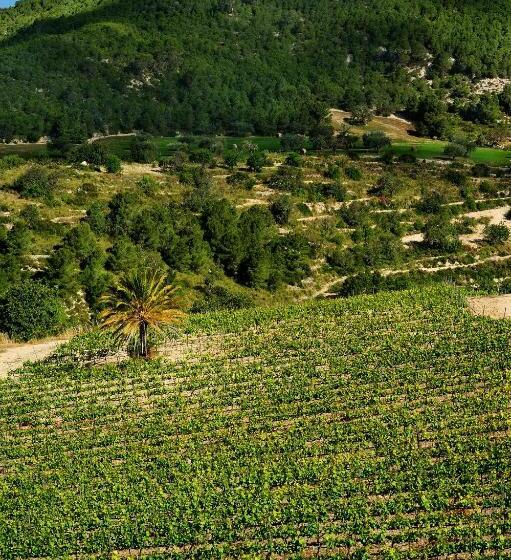 חדר קומפורט, Kallikoros Country Resort & Spa