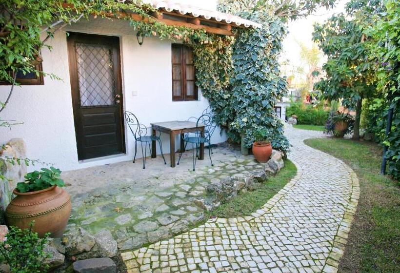 １ベッドルームアパートメント, Uma Casa A Beira Sol