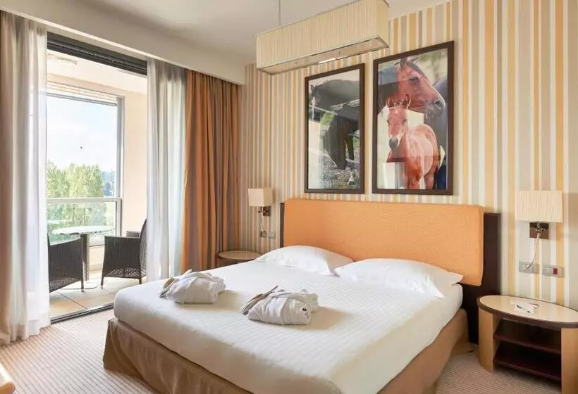 اتاق سوپریور, Unahotels Varese