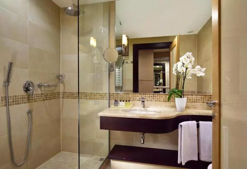 اتاق استاندارد, Unahotels Varese