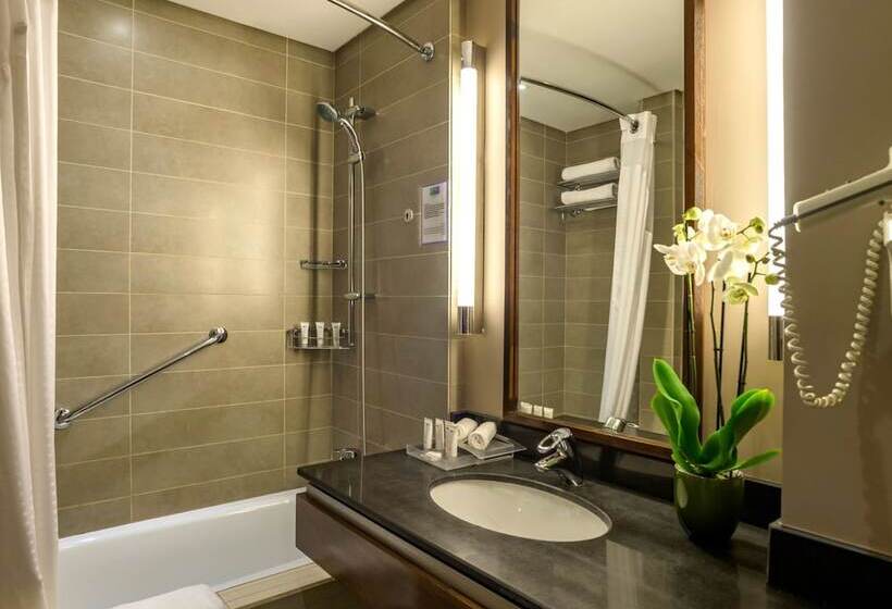 اتاق استاندارد با چشم‌انداز استخر, Holiday Inn Resort Dead Sea By Ihg