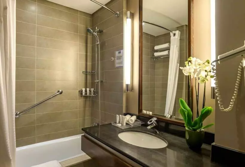 اتاق استاندارد با چشم‌انداز استخر, Holiday Inn Resort Dead Sea By Ihg