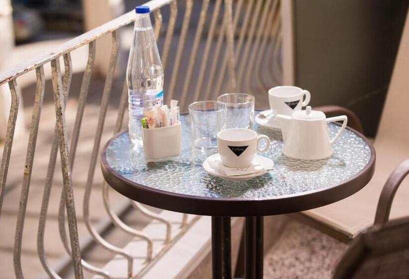 스탠다드 싱글 룸, Aigli