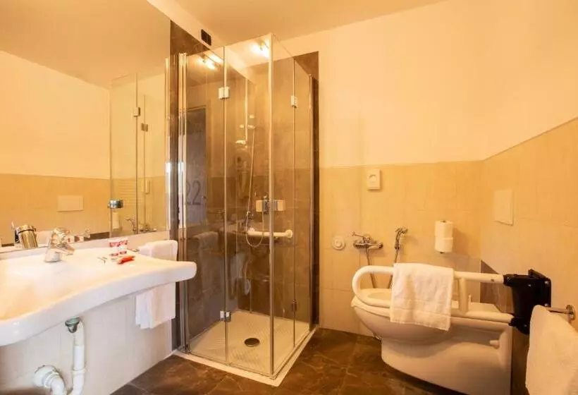 身障者適用スタンダードルーム, Euro Hotel Residence