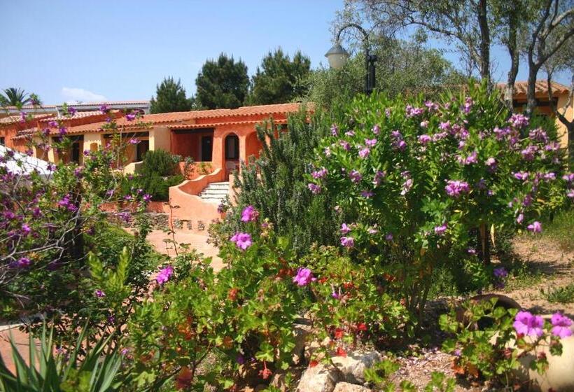 غرفة كومفورت, Ollastu